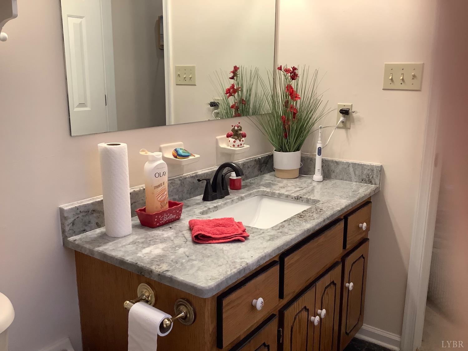 1564 Calohan Road Rustburg, VA 24588 - Photo 11 of 29 a bathroom with a granite countertop sink a potted plant and sign on the wall
