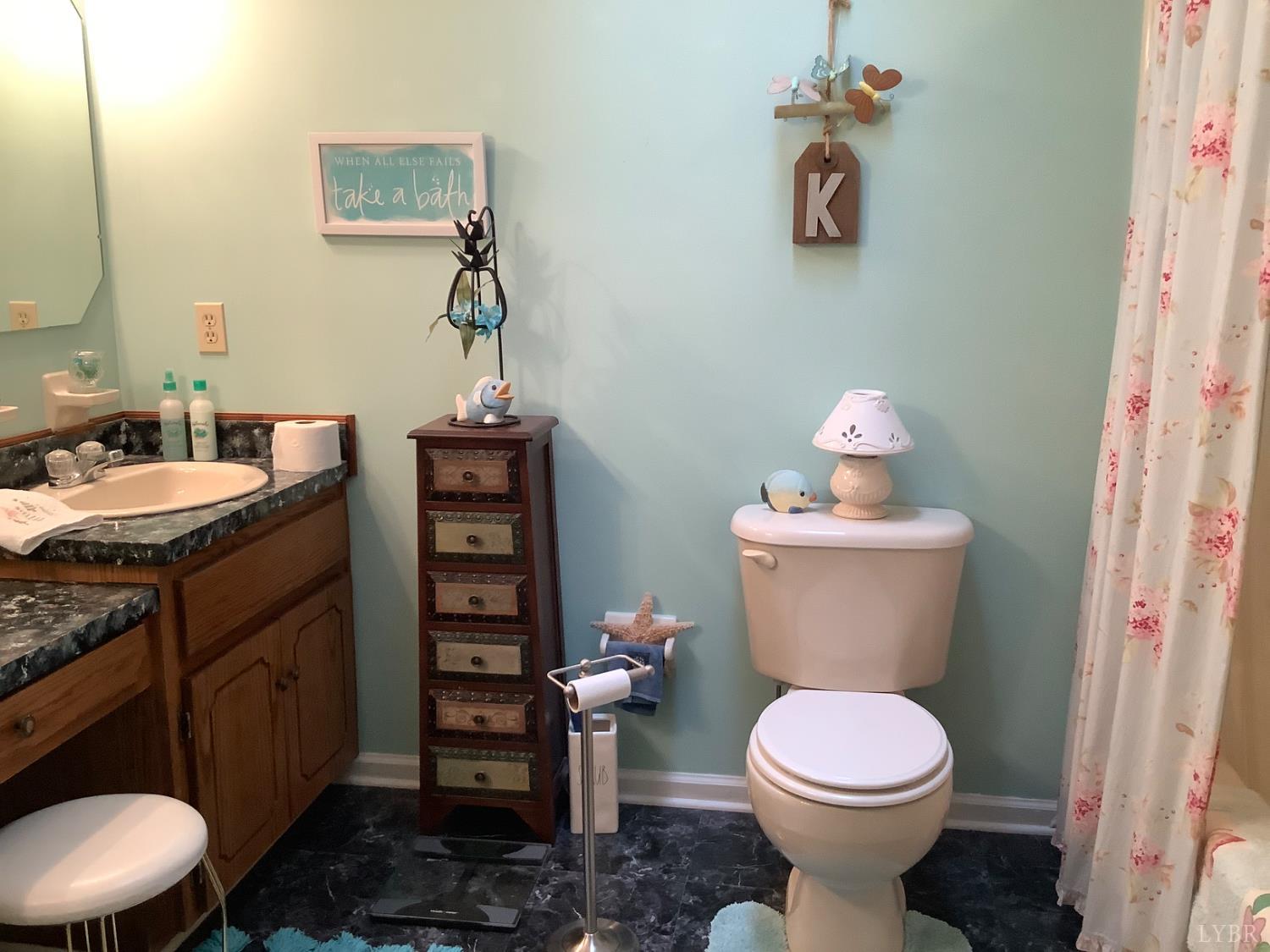 1564 Calohan Road Rustburg, VA 24588 - Photo 20 of 29 a bathroom with a toilet a sink and a mirror