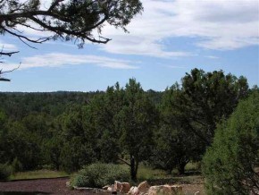 90 Shadow Rk Ranch Seligman, AZ 86337 - Photo 3 of 8 Additional Photo