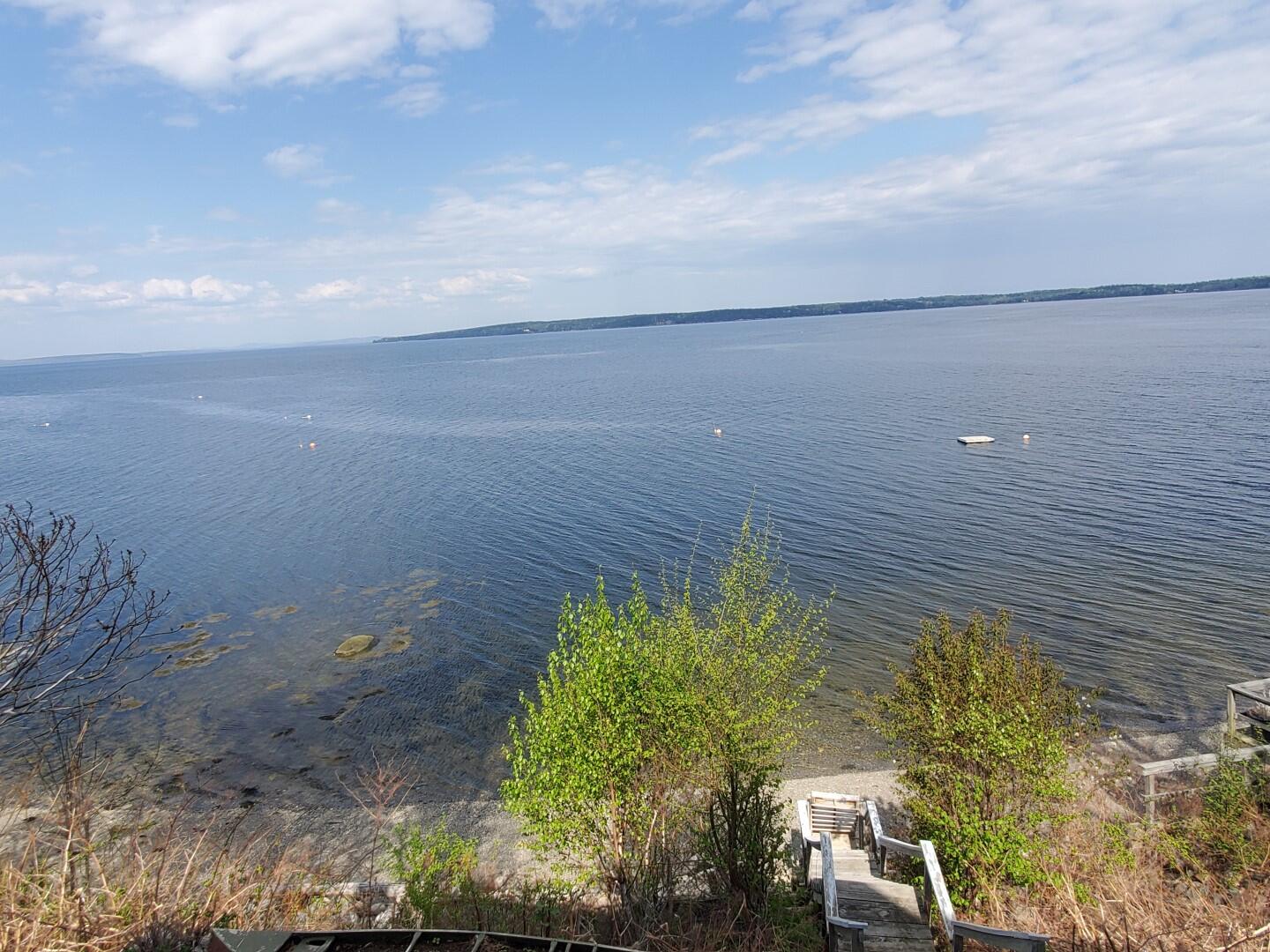 234 Shore Road Northport, ME 04849 - Photo 44 of 72 20230512_152758 (Large)