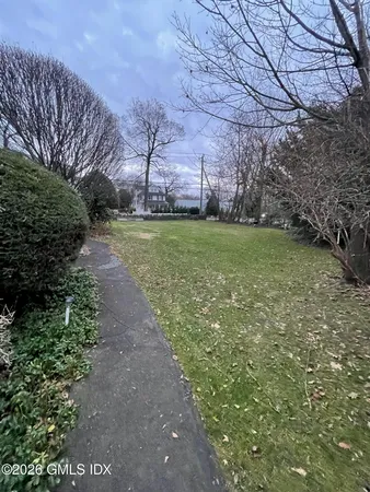 a view of a backyard with plants and large trees