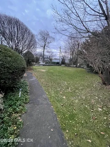 a view of a backyard with plants and large trees
