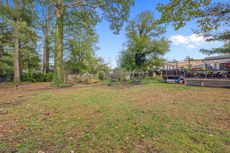 233 Maple Avenue Dunellen, NJ 08812 - Photo 38 of 46