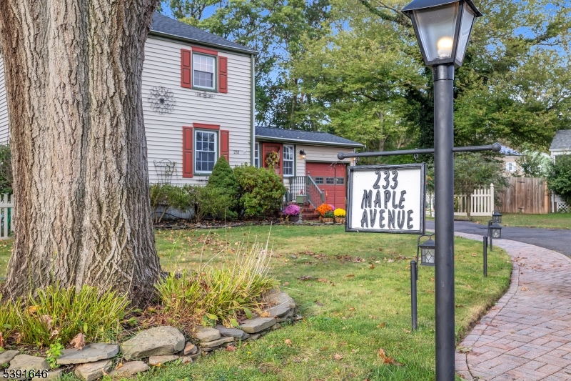 233 Maple Avenue Dunellen, NJ 08812 - Photo 45 of 46