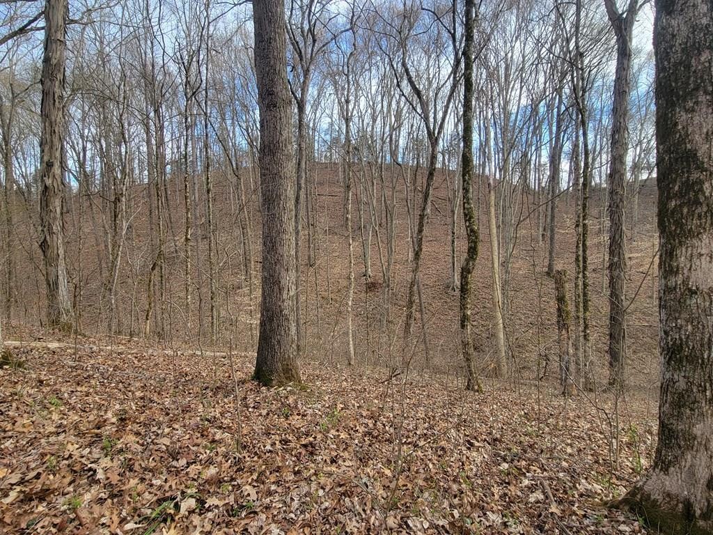 0 Black Oak Ridge Road Sevierville, TN 37876 - Photo 4 of 14