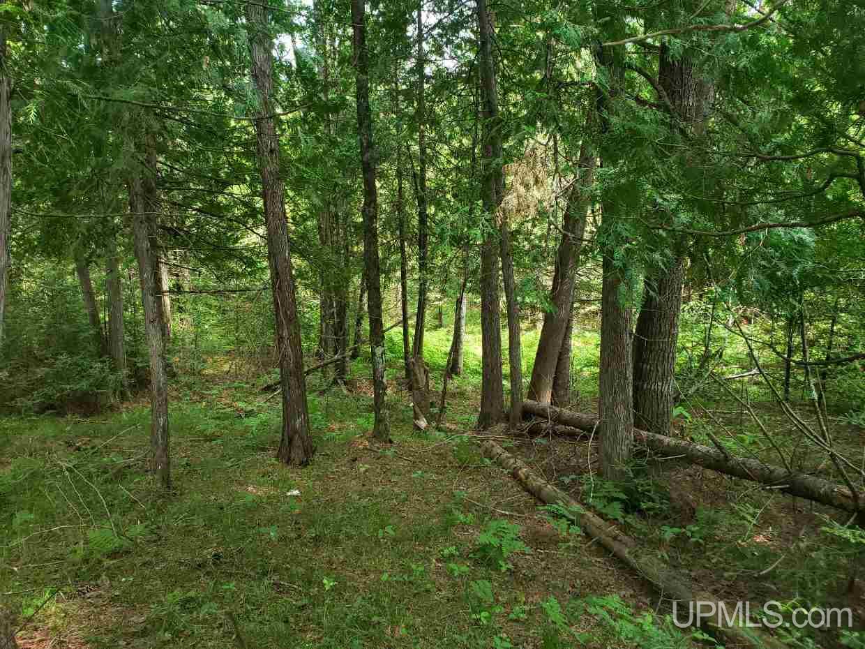 Tbd Tbd Leeman Road Felch, MI 49831 - Photo 2 of 8