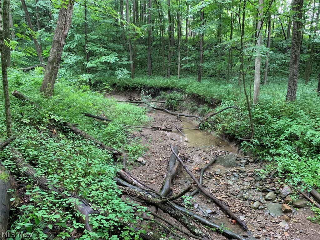 Bowers Road Mansfield, OH 44903 - Photo 21 of 35 Gallery Image 21