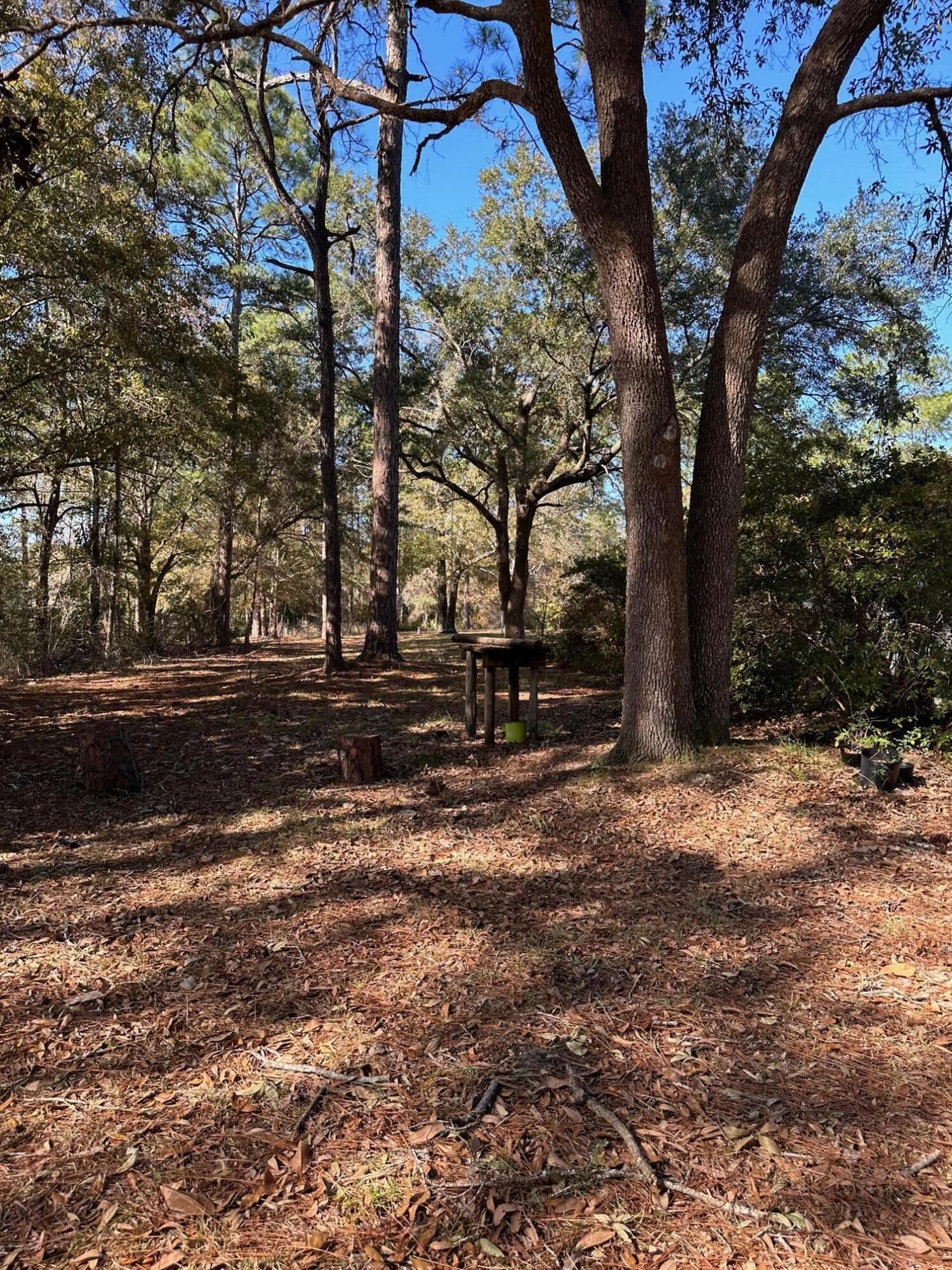 Tbd Pope Street Freeport, FL 32439 - Photo 1 of 6 a view of outdoor space with trees