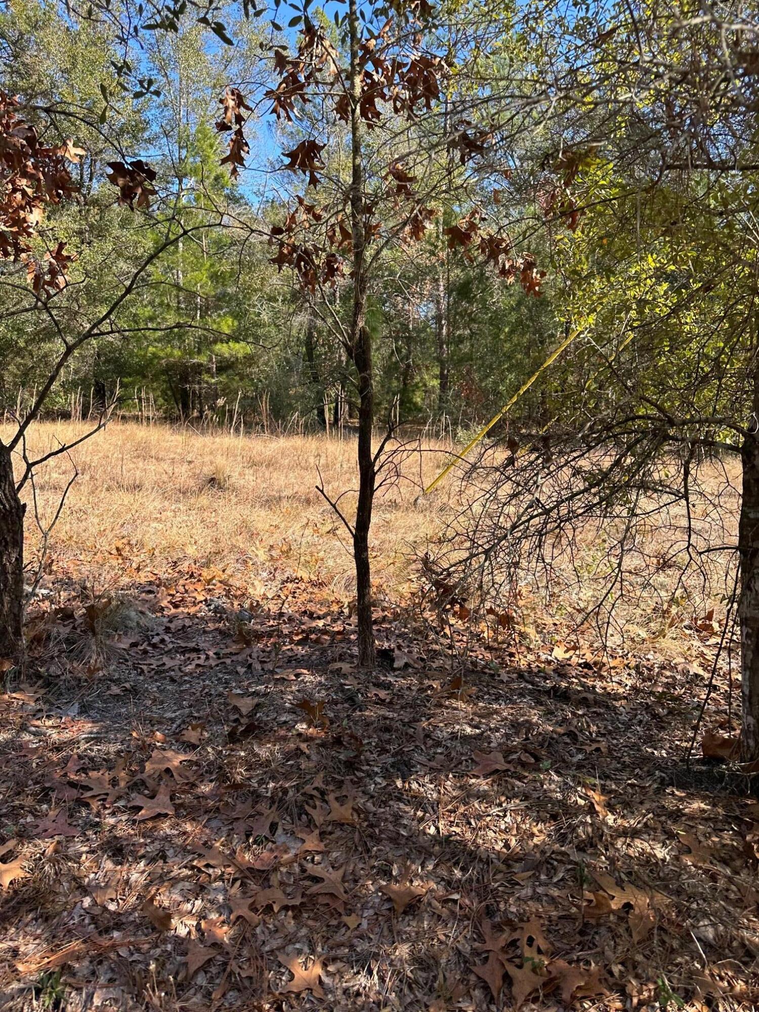 Tbd Pope Street Freeport, FL 32439 - Photo 2 of 6 a view of yard covered with snow