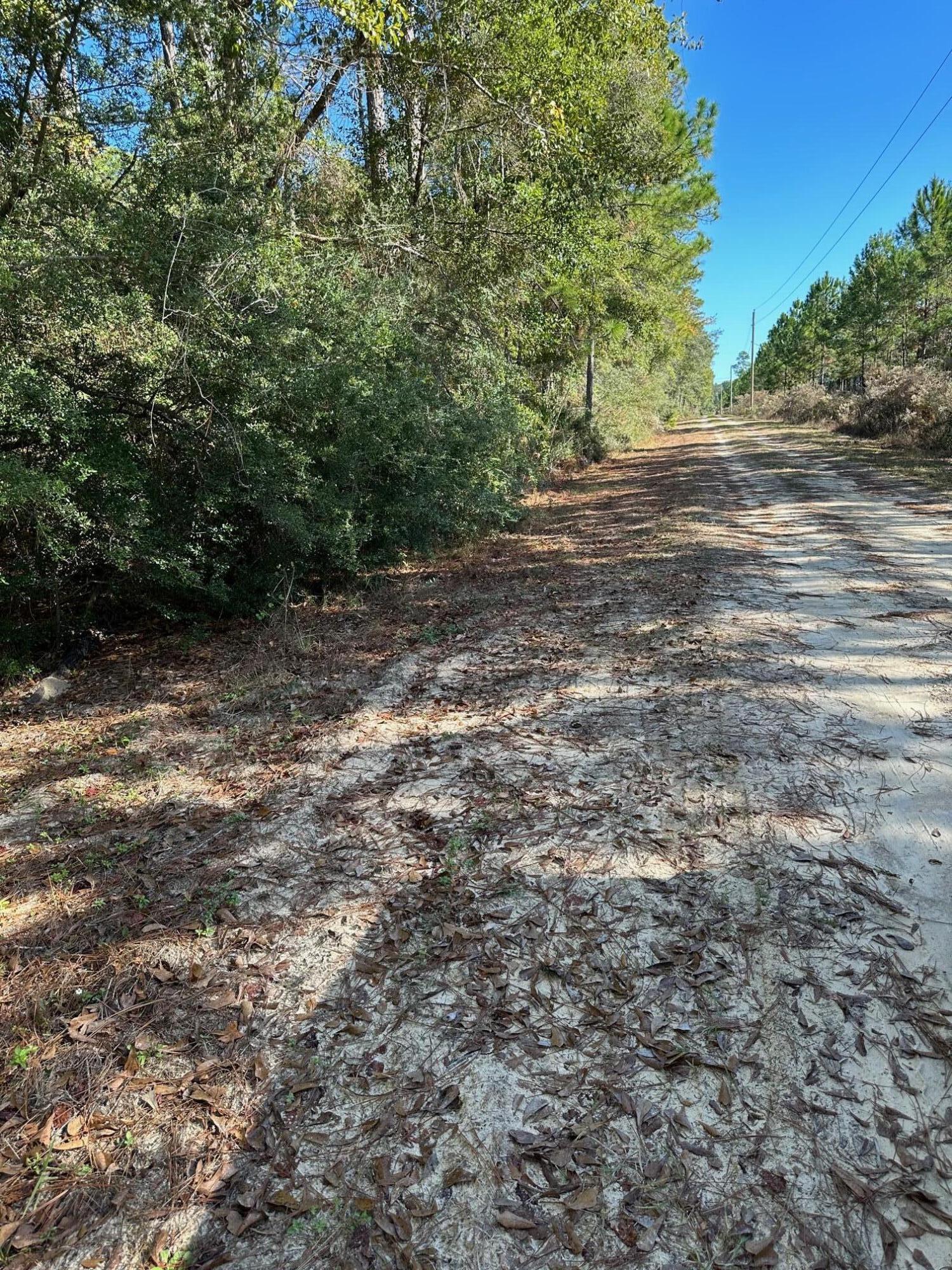 Tbd Pope Street Freeport, FL 32439 - Photo 5 of 6 a view of a yard with a tree