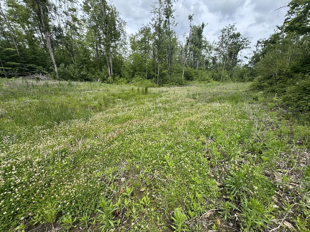 1692 North Galbraith Road Mio, MI 48647 - Photo 4 of 82 3