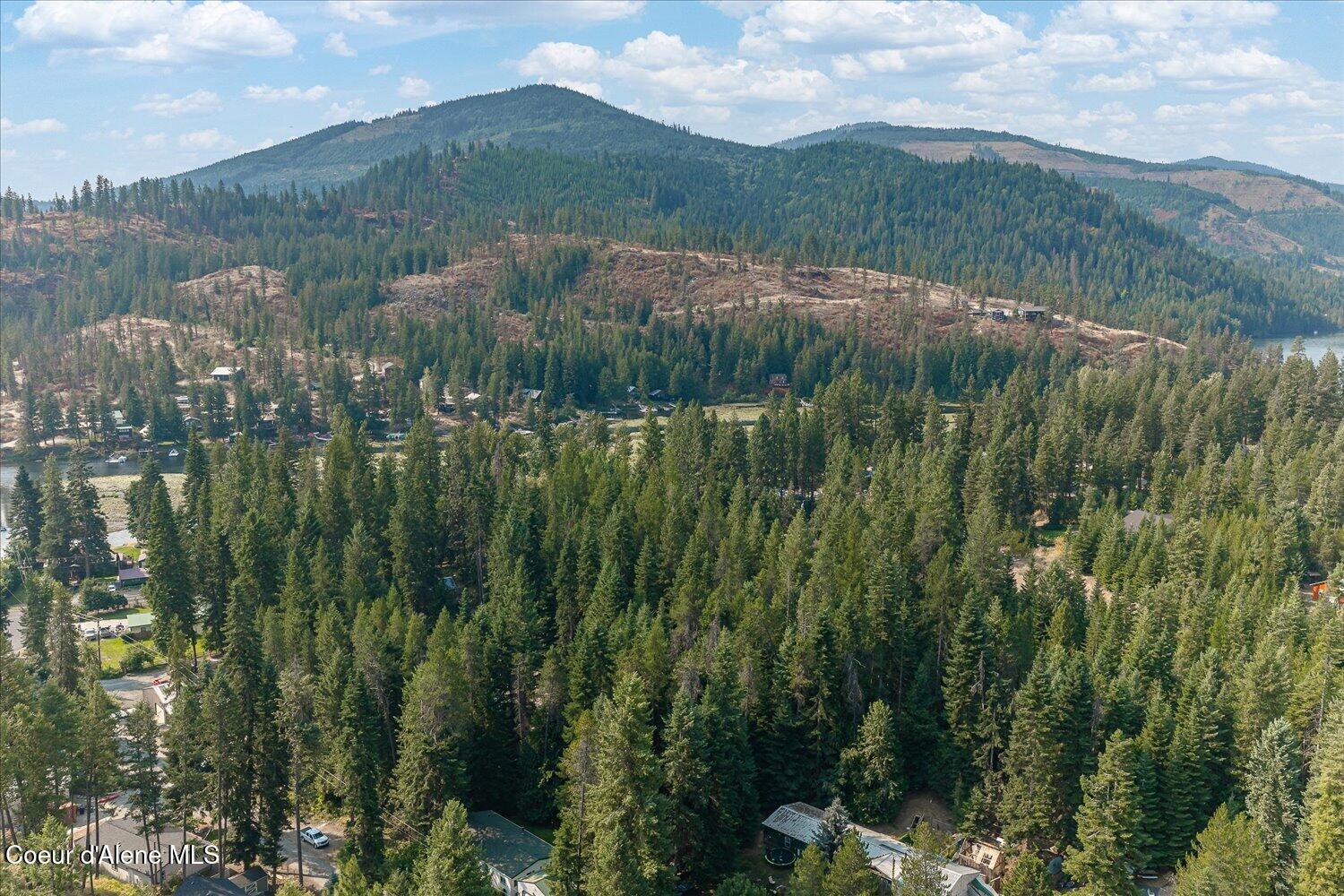 Nka West Radmer Road Rathdrum, ID 83858 - Photo 45 of 47 46