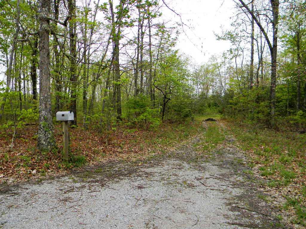 Coppett Road Crossville, TN 38572 - Photo 6 of 9 DSCN8401