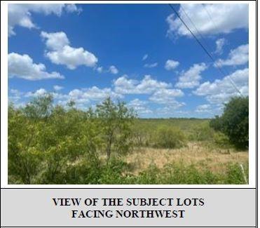 1 Northwest Prachyl Road Ennis, TX 75119 - Photo 6 of 8 a view of a field