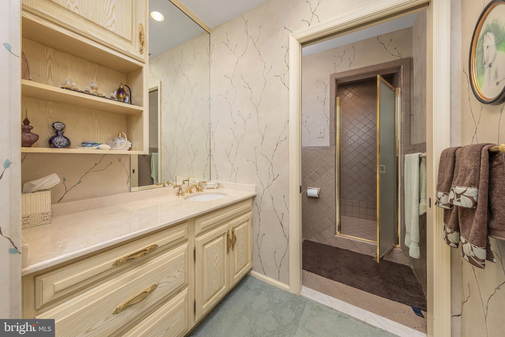 533 Heartwood Road Cherry Hill, NJ 08003 - Photo 31 of 55 a bathroom with a sink and a mirror