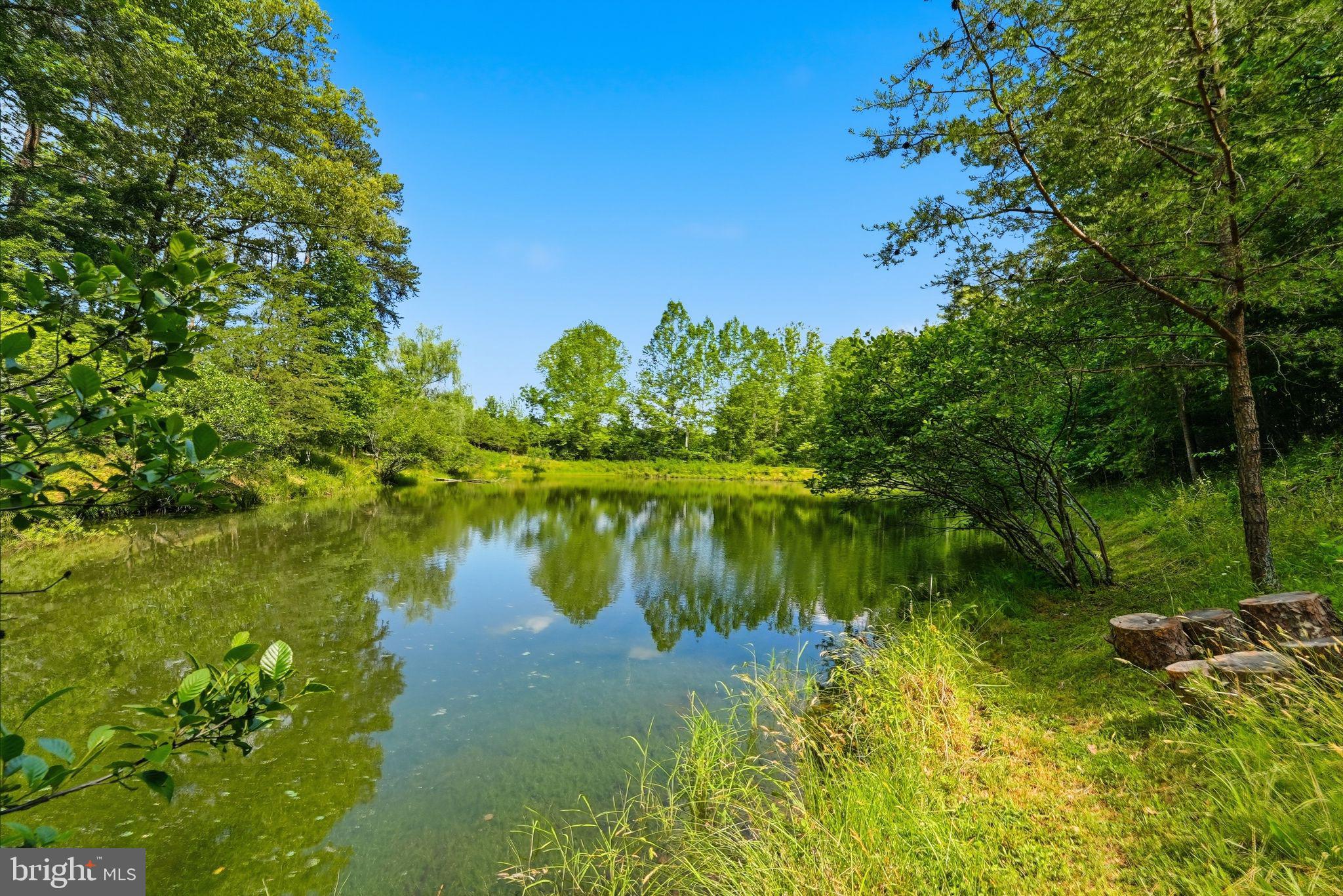 Castle Rock Lane Castleton, VA 22716 - Photo 11 of 15 Stream fed pond with bass, turtles, etc