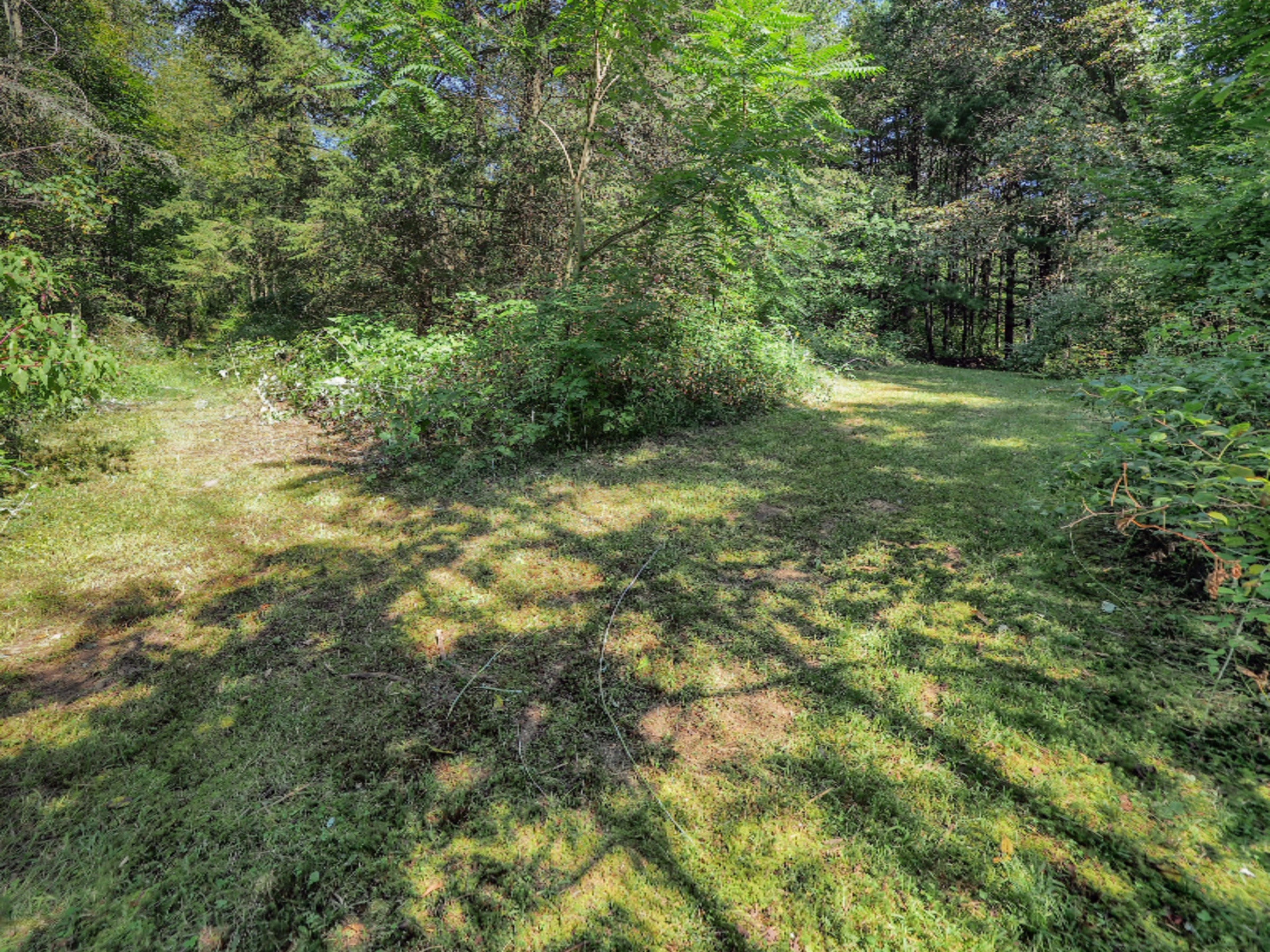 4244 Cloverdale Road Delton, MI 49046 - Photo 14 of 25 4244 West Cloverdale Rd-105