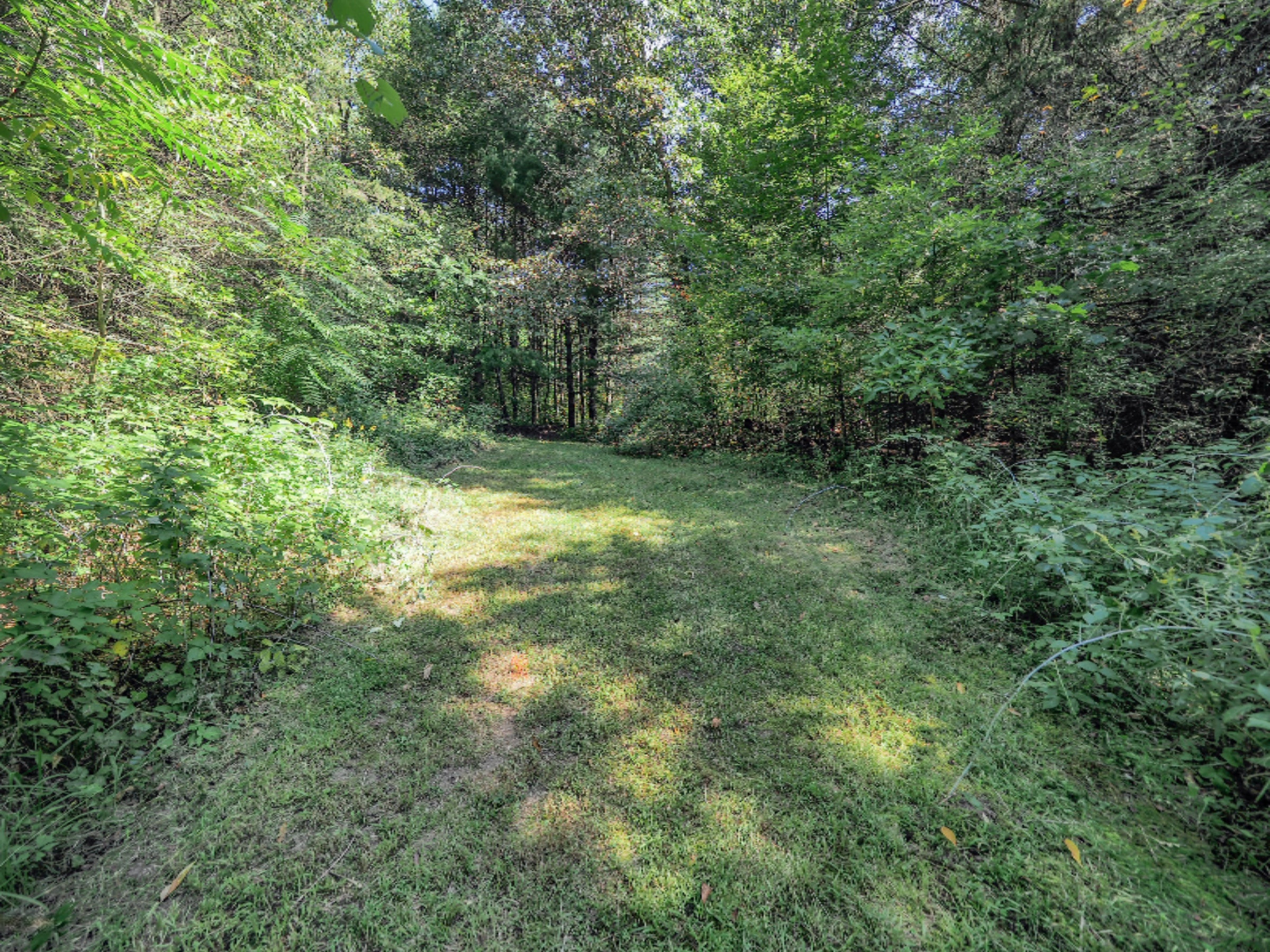 4244 Cloverdale Road Delton, MI 49046 - Photo 15 of 25 4244 West Cloverdale Rd-106