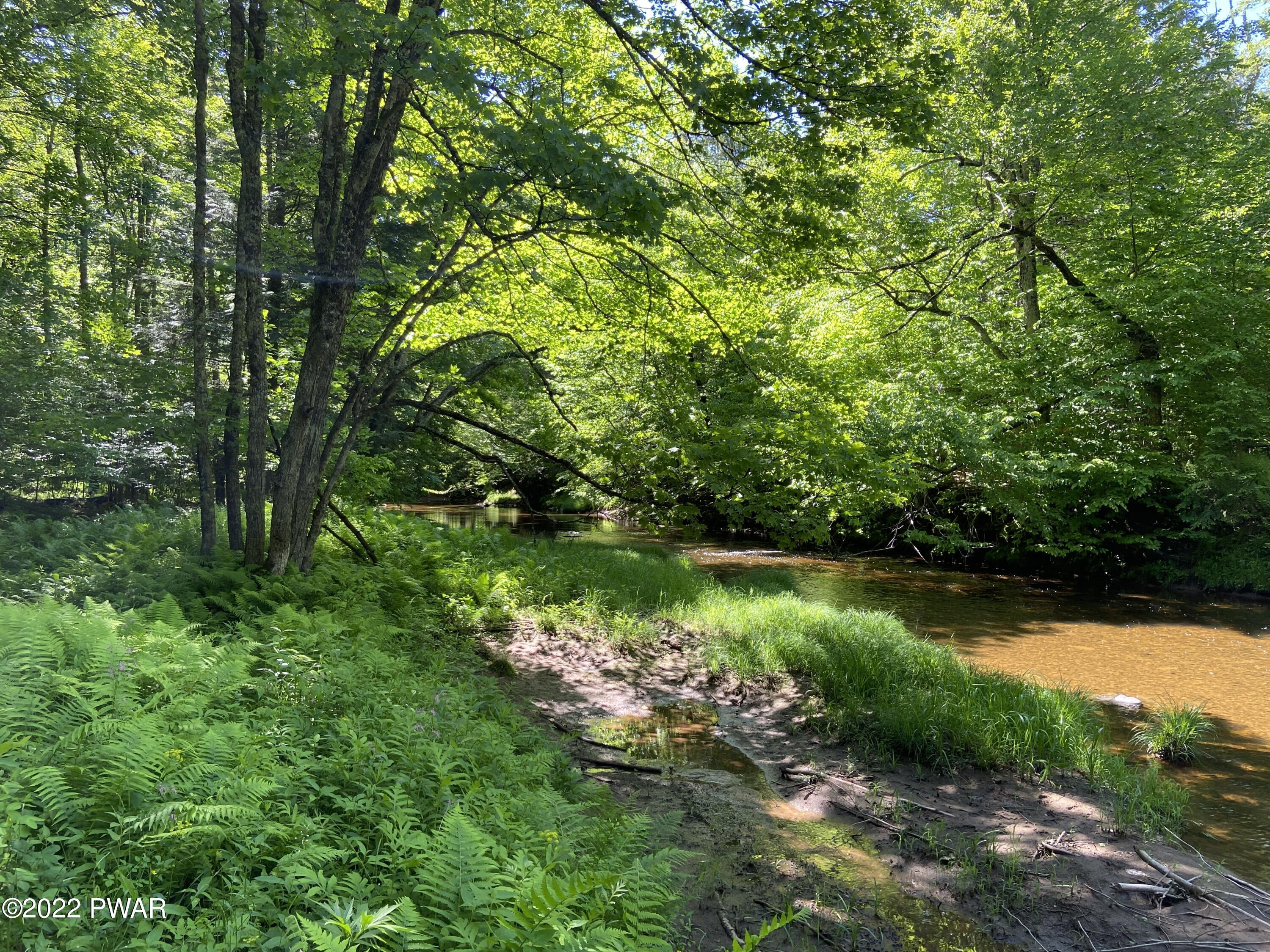 John David Road Beach Lake, PA 18405 - Photo 11 of 17