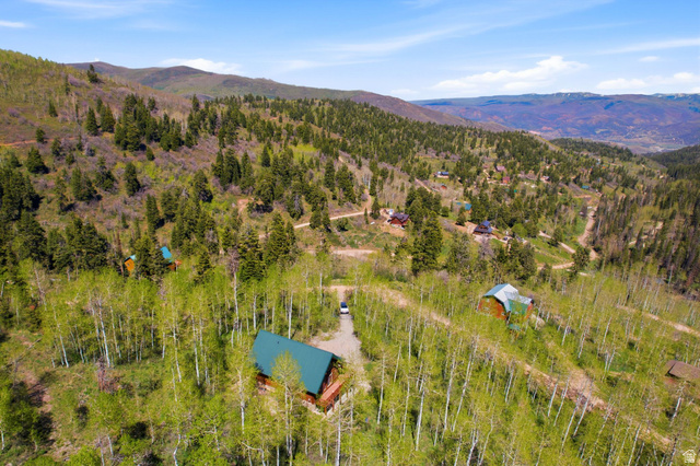 2096 South Aspen Ridge Coalville, UT 84017 - Photo 41 of 44 Wood-clad cabin featuring a green metal roof, surrounded by mature aspen trees and pine forests