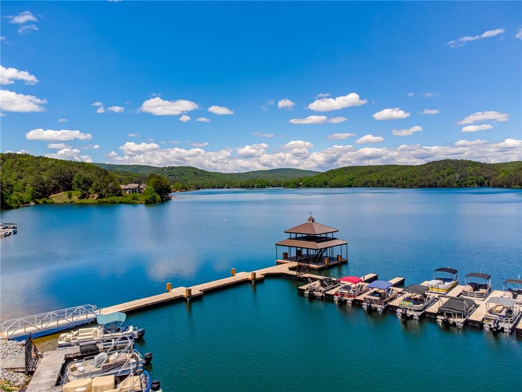 142 Red Cloud Drive Waleska, GA 30183 - Photo 30 of 38 a lake view with boat and palm trees in the background