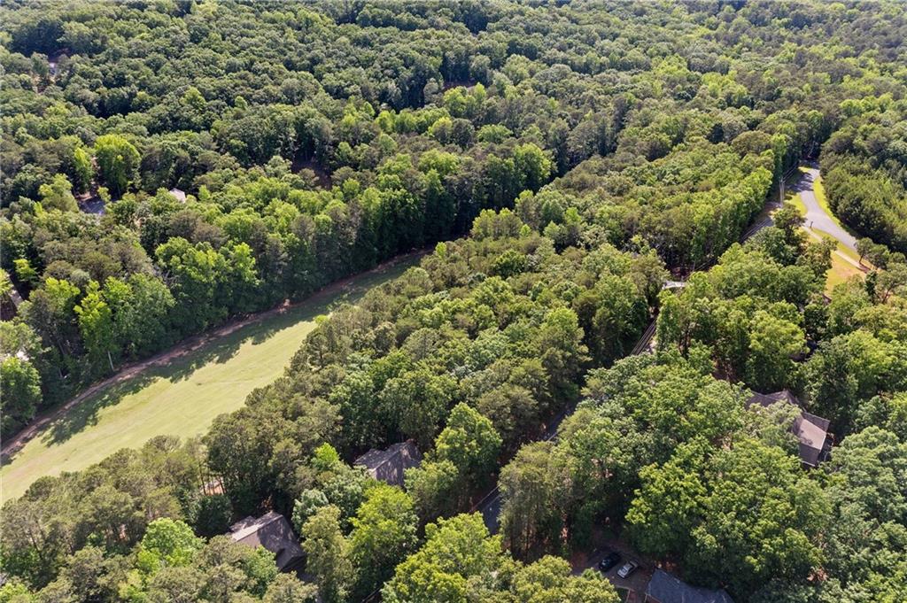 142 Red Cloud Drive Waleska, GA 30183 - Photo 4 of 38 a view of a garden with plants