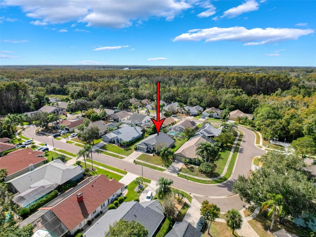 890 Crestridge Circle Tarpon Springs, FL 34688 - Photo 44 of 54