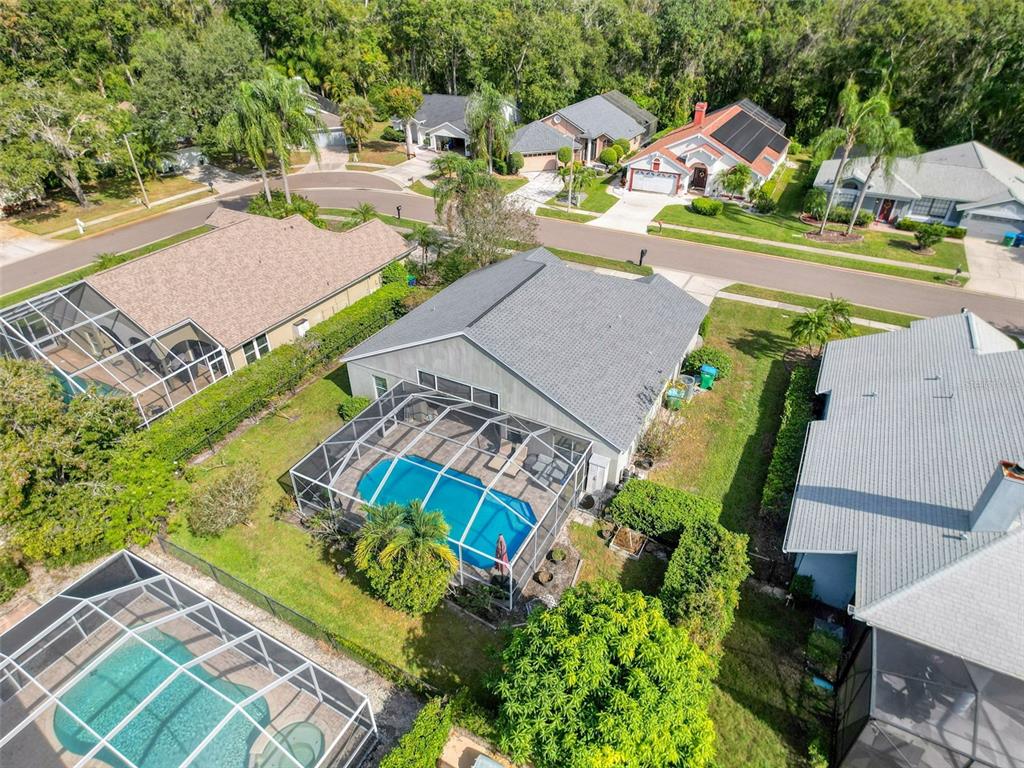 890 Crestridge Circle Tarpon Springs, FL 34688 - Photo 45 of 54