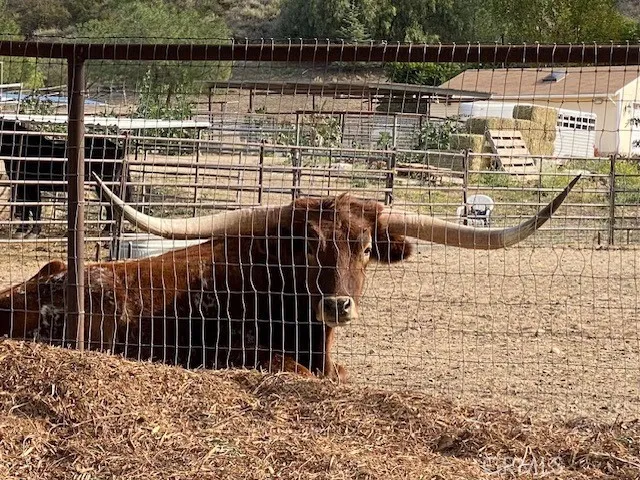 a picture of water view
