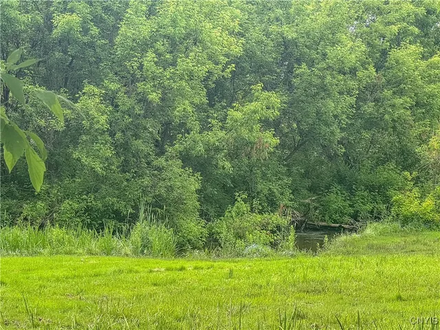 $195,000 | 8430 Willow Street, Le Ray, NY 13637