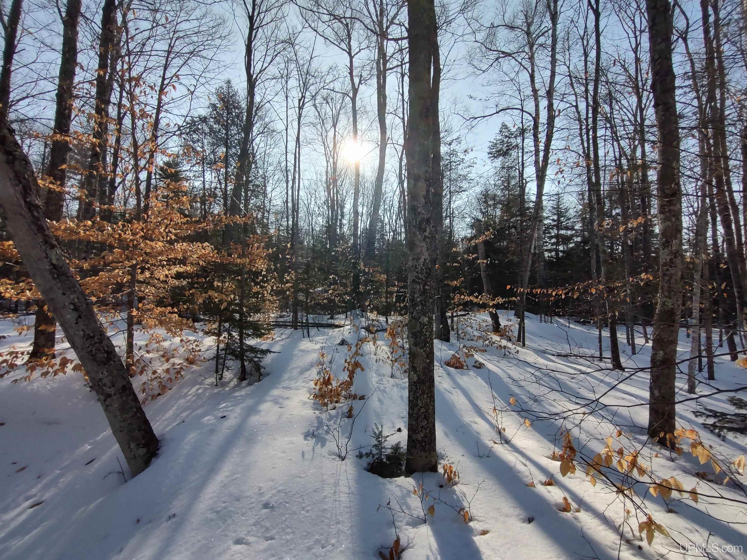 40-acres Gierke Road Manistique, MI 49854 - Photo 5 of 39