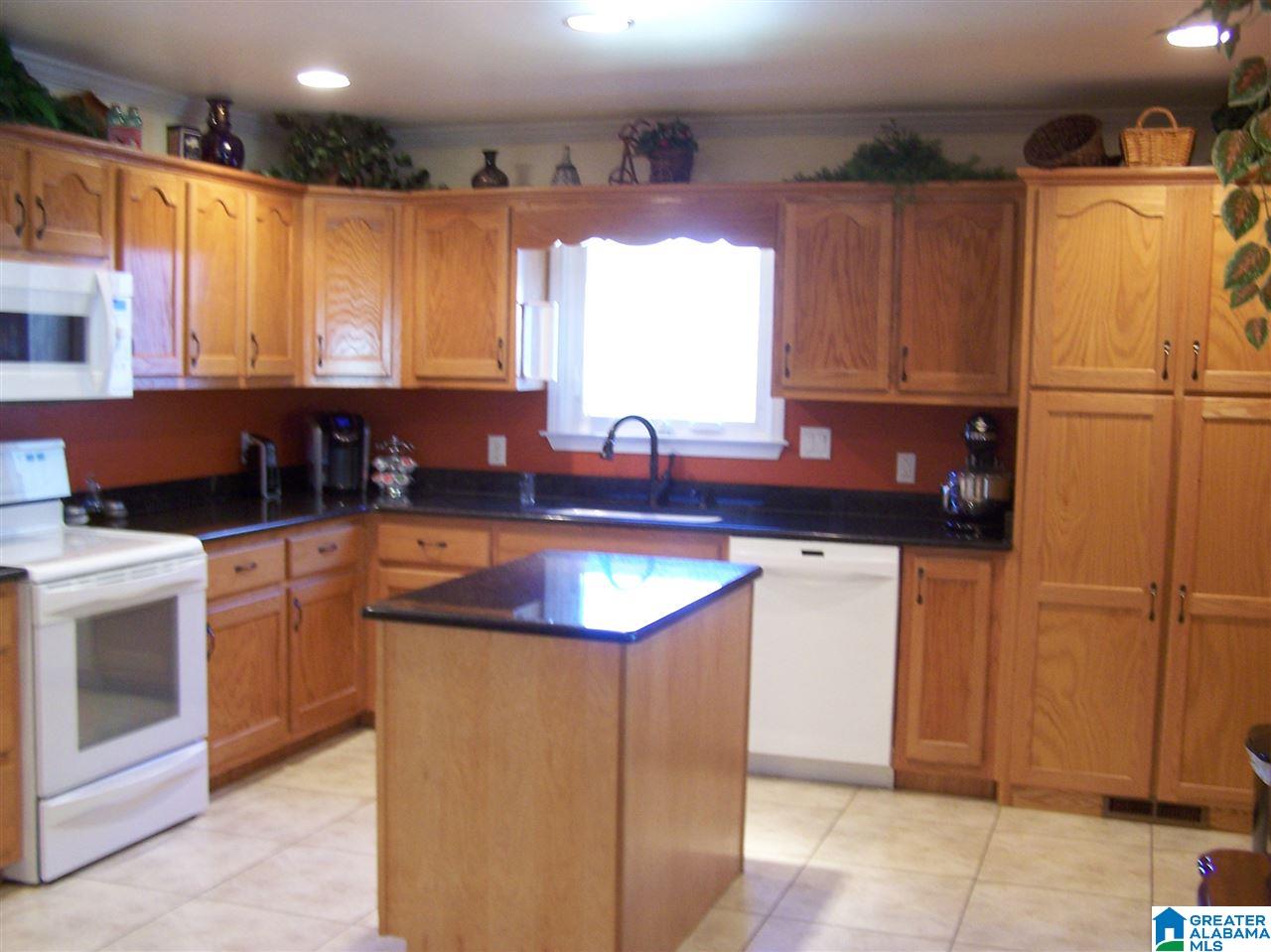 75 Vista Drive Oneonta, AL 35121 - Photo 2 of 50
