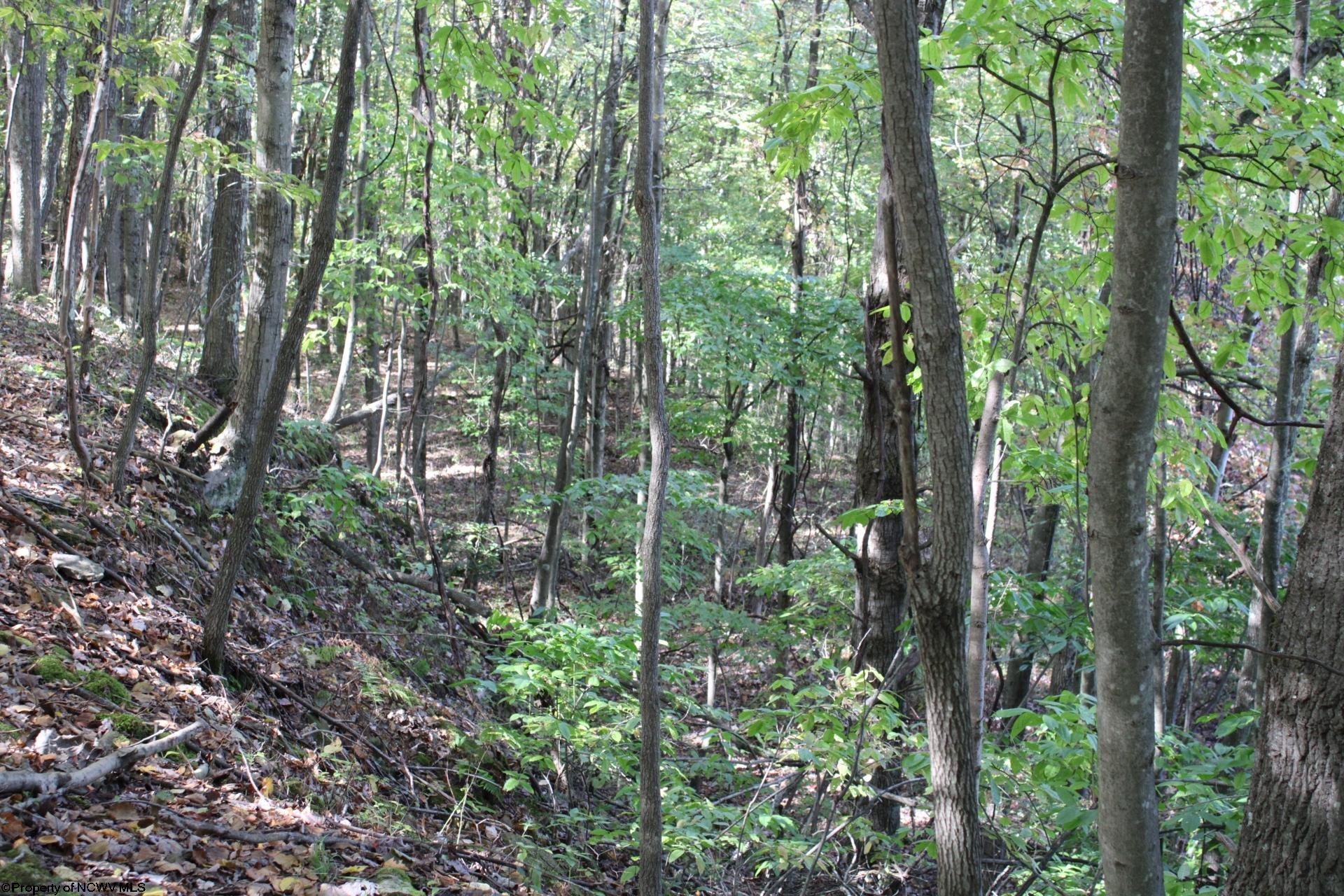 1430 Sand Bank Road Masontown, WV 26542 - Photo 14 of 29 Gallery Image 14