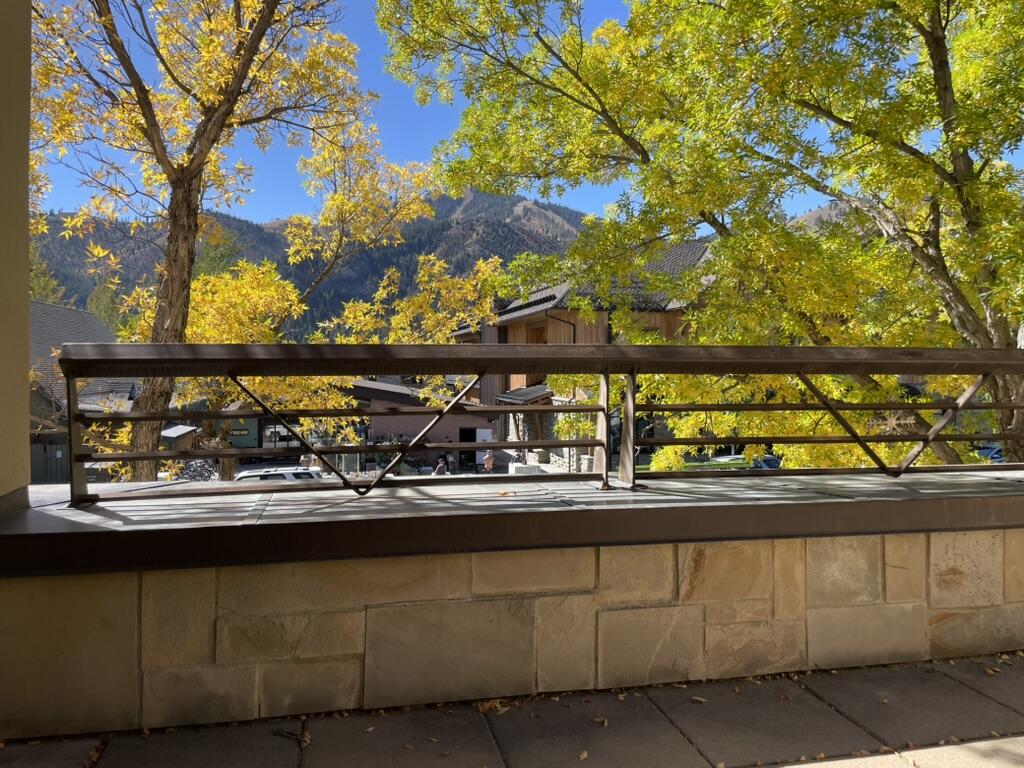 645 East Sun Valley Road, Unit 12 Ketchum, ID 83340 - Photo 22 of 22 Beautiful Views