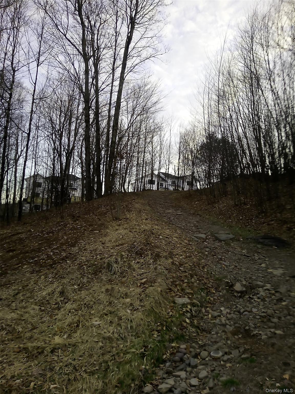 Gibber Road Kiamesha Lake, NY 12751 - Photo 5 of 5