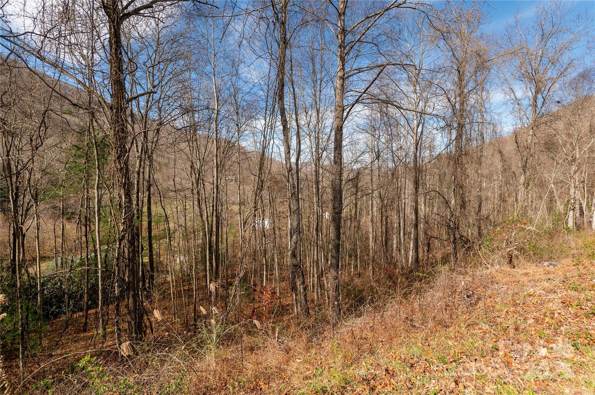 0 Terrys Gap Road Fletcher, NC 28732 - Photo 11 of 12 a view of covered with snow