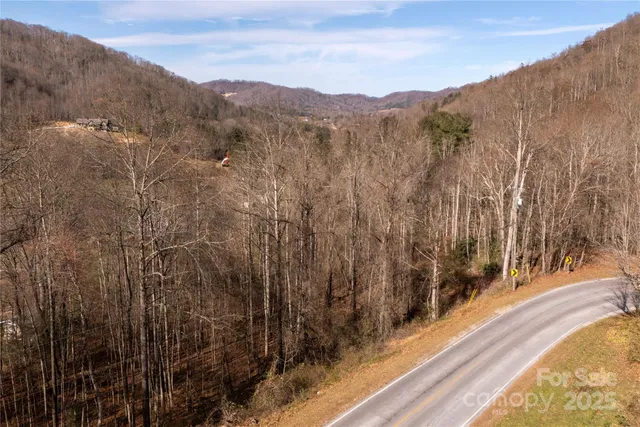 a view of a lot of trees and mountains