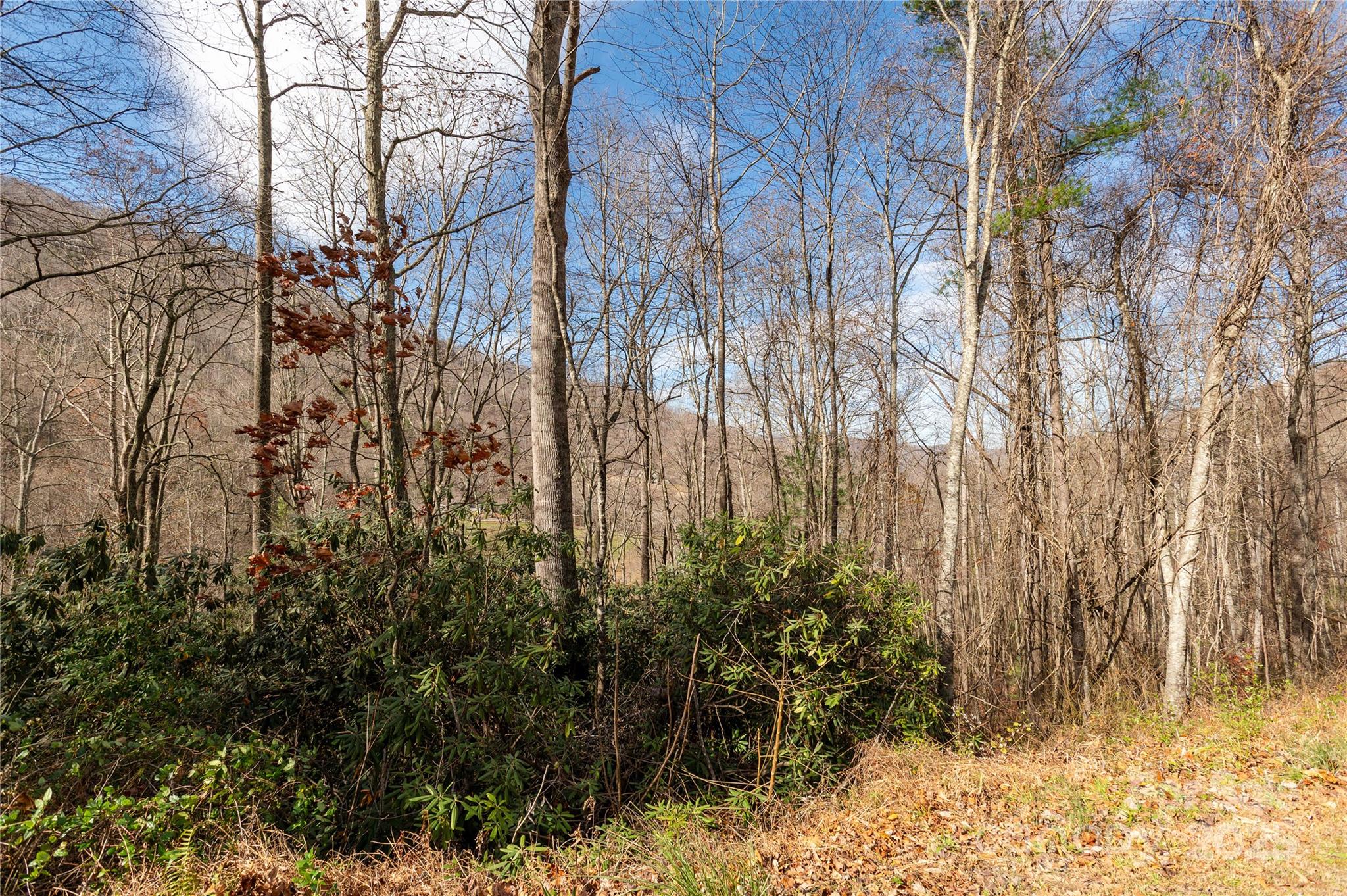 0 Terrys Gap Road Fletcher, NC 28732 - Photo 9 of 12 a view of a yard with large trees