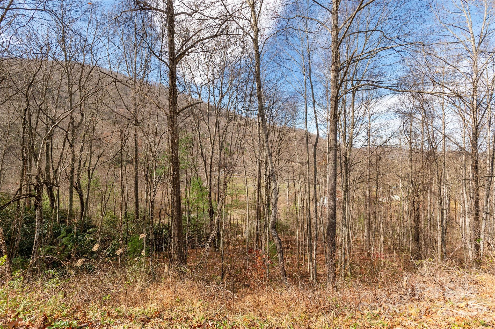 0 Terrys Gap Road Fletcher, NC 28732 - Photo 10 of 12 a view of a backyard of the house