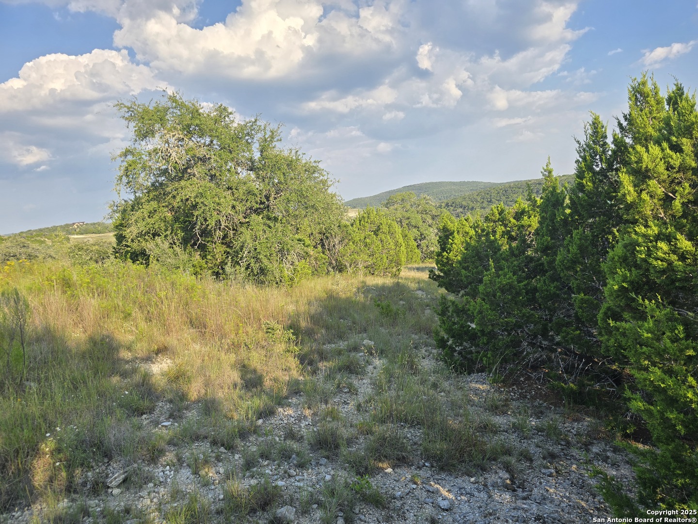 479 Canyon Rim Helotes, TX 78023 - Photo 15 of 40 a view of lake with green space