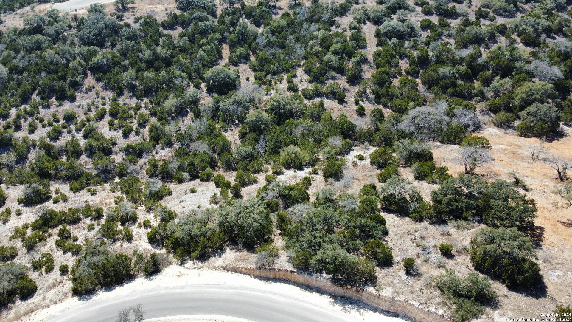 479 Canyon Rim Helotes, TX 78023 - Photo 18 of 40 a view of a forest with a tree