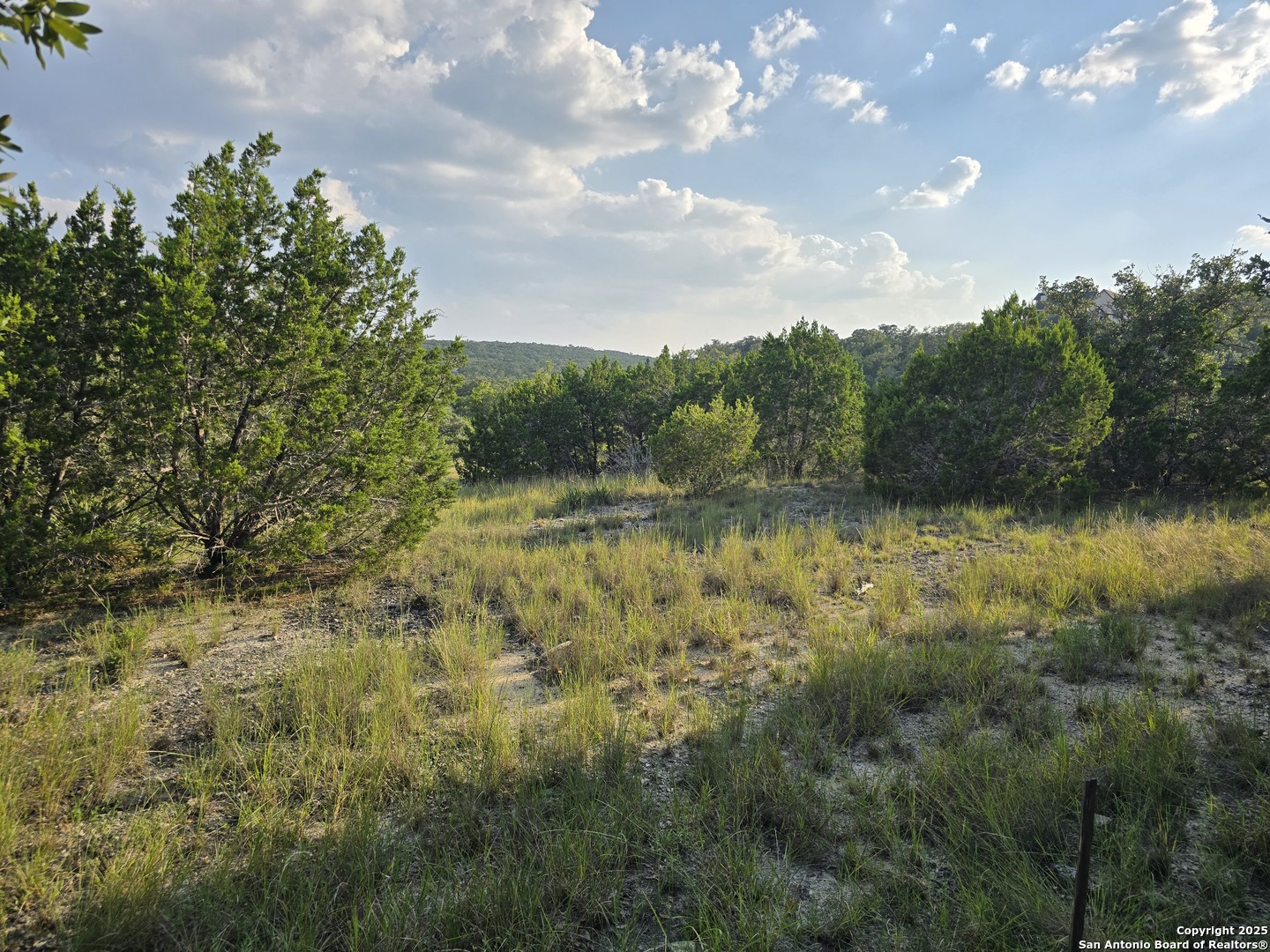 479 Canyon Rim Helotes, TX 78023 - Photo 24 of 40 a view of a lake with lots of trees