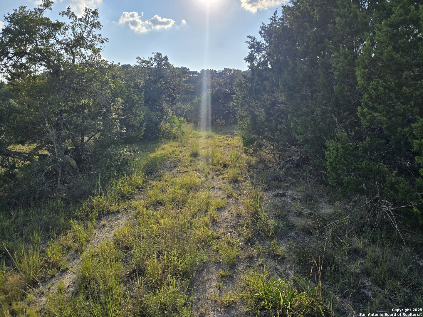 479 Canyon Rim Helotes, TX 78023 - Photo 25 of 40 a view of a city with lush green forest