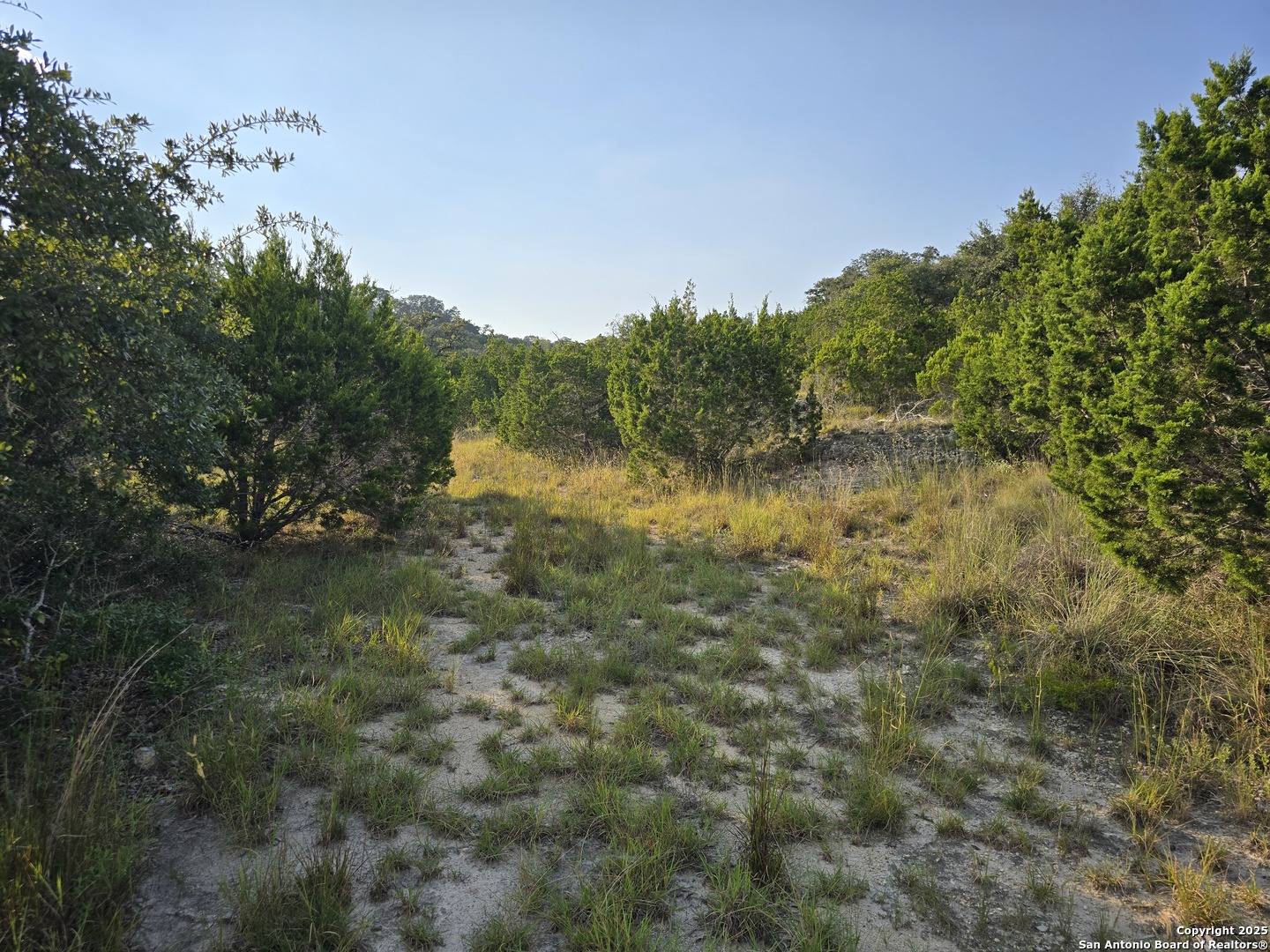 479 Canyon Rim Helotes, TX 78023 - Photo 27 of 40 a view of a lake with houses in back
