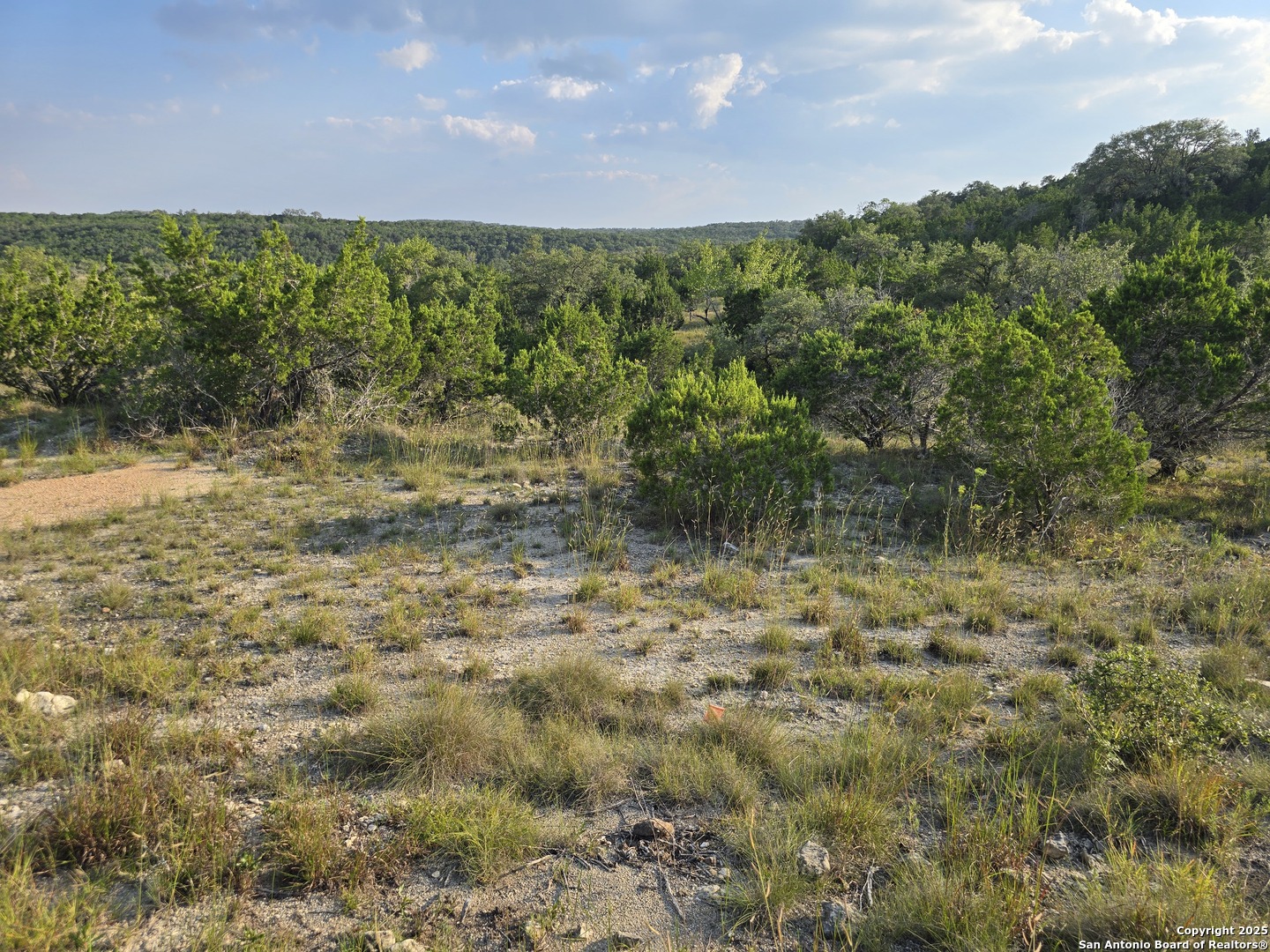 479 Canyon Rim Helotes, TX 78023 - Photo 28 of 40 a view of a forest from a yard