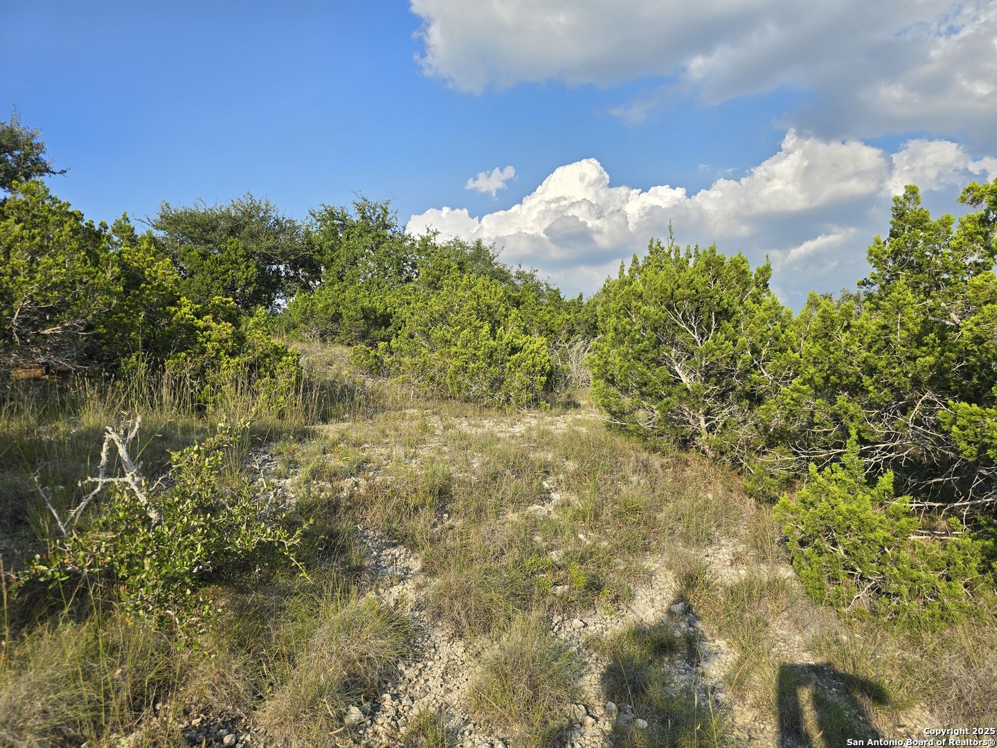 479 Canyon Rim Helotes, TX 78023 - Photo 29 of 40 a view of a lake with a tree
