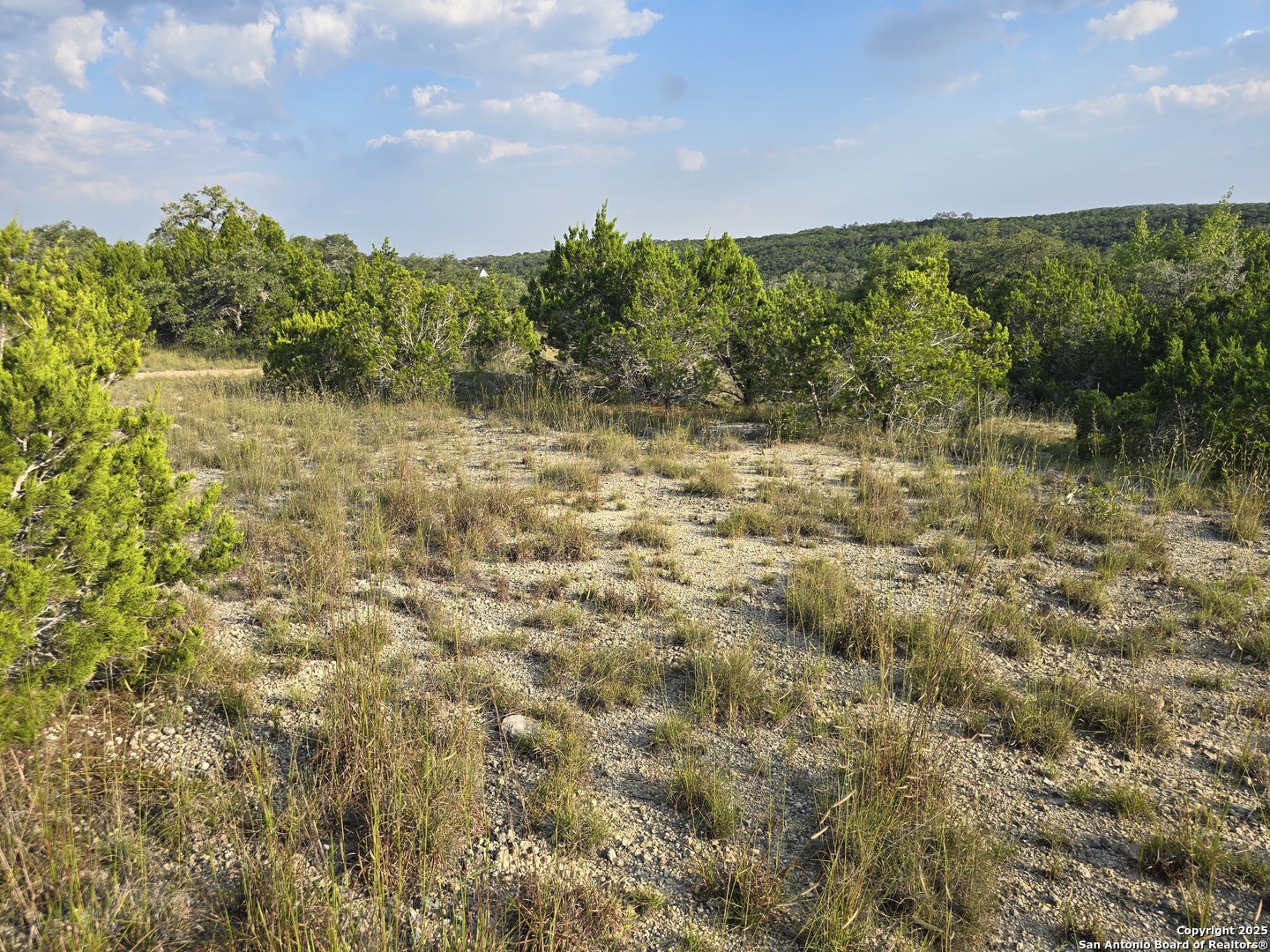 479 Canyon Rim Helotes, TX 78023 - Photo 30 of 40 a view of a lake with green field