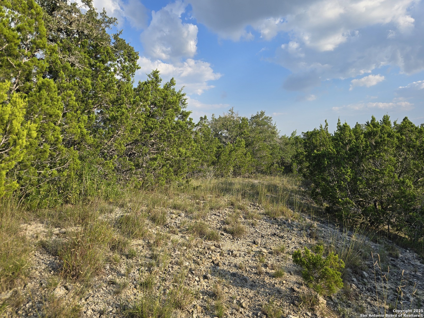 479 Canyon Rim Helotes, TX 78023 - Photo 33 of 40 a view of a yard with plants and a bench