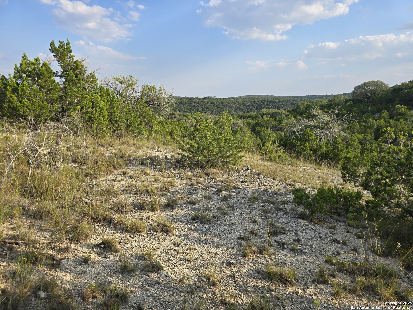 479 Canyon Rim Helotes, TX 78023 - Photo 38 of 40 a view of a field with an trees