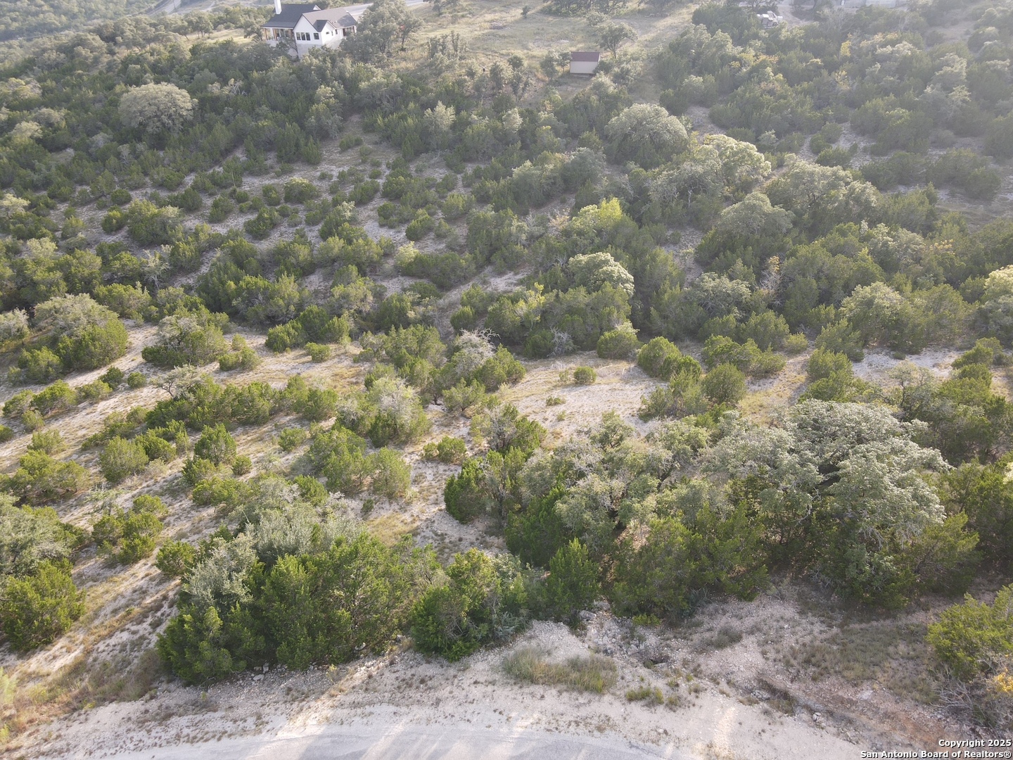 479 Canyon Rim Helotes, TX 78023 - Photo 4 of 40 a view of a dry yard with trees and stairs